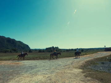 Chambre Chez L'habitant Viñales 188381-10