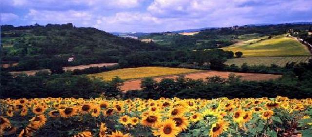 Tutta La Casa Chiusi 48050