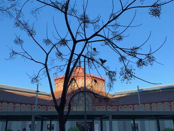 Chambre Chez L'habitant Barcelona 268066-6