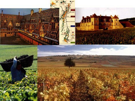 Estudio Independiente Magny-lès-Villers 94116