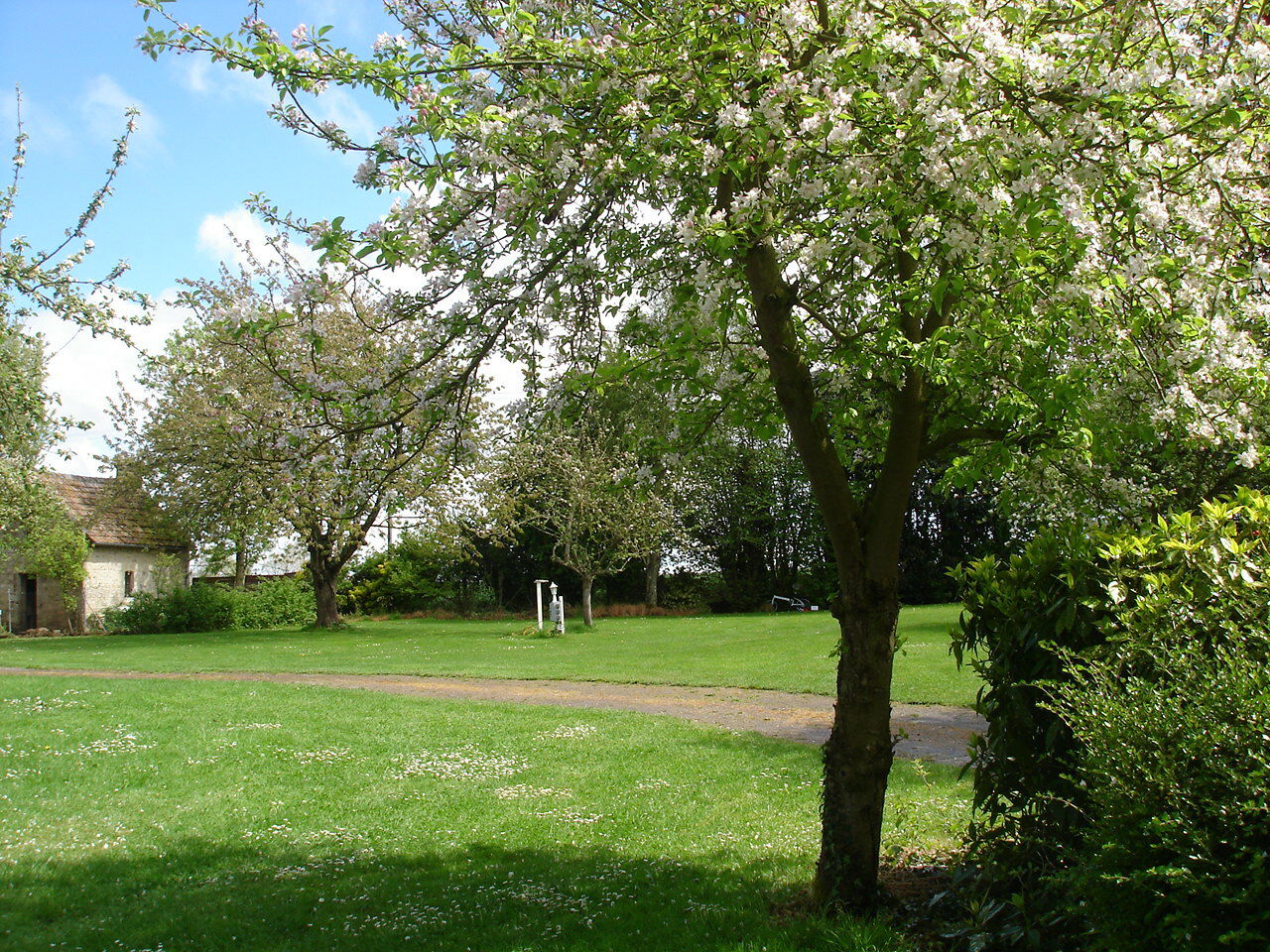 Estudio Independiente Martragny 118878