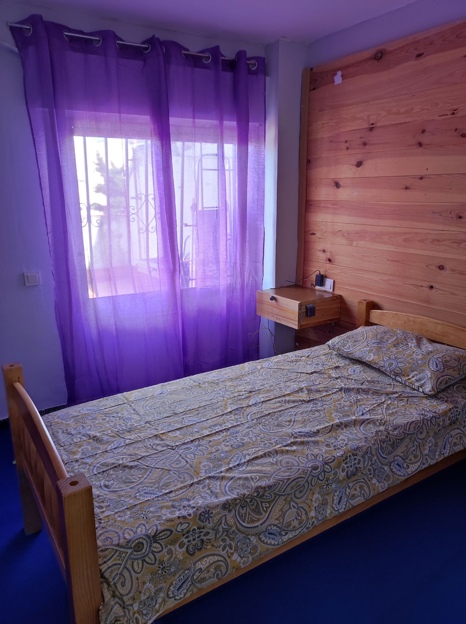 Colocación Ontinyent 257876