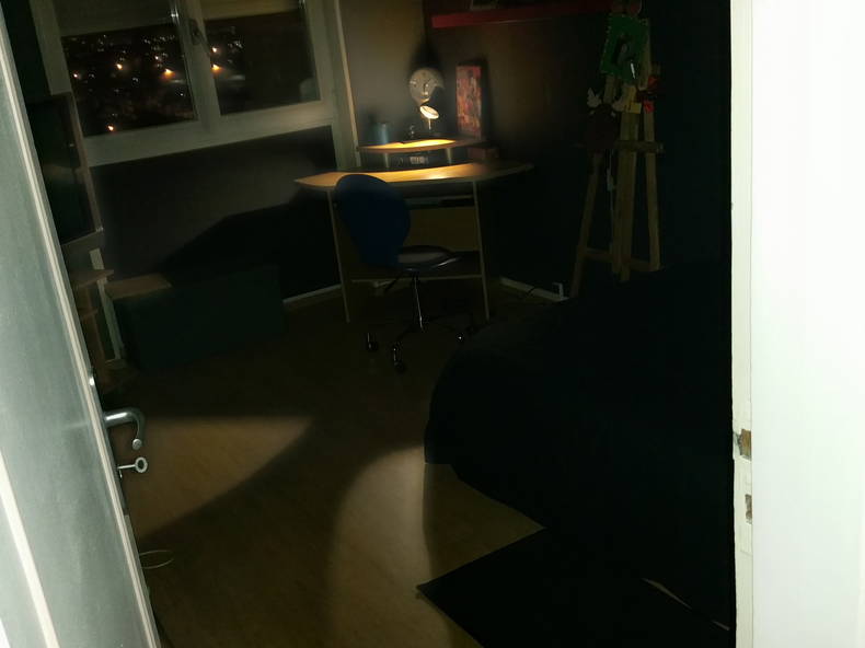 Homestay Le Grand-Quevilly 118463-2