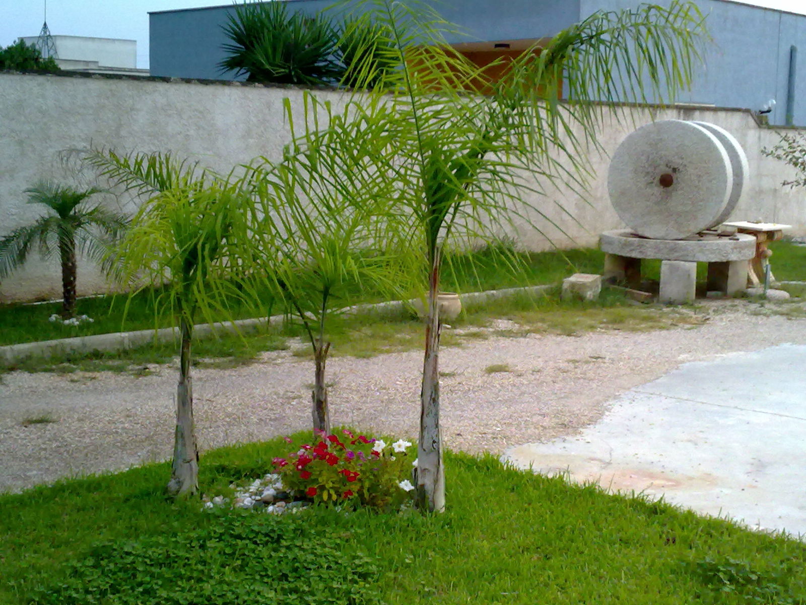 Famiglia Martano 133991