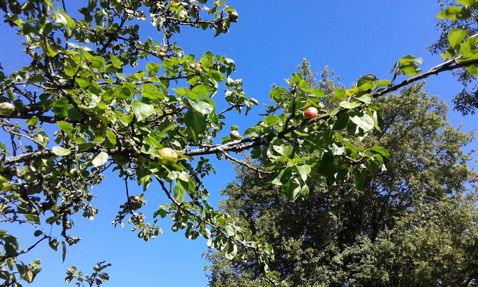 Camere Per Gli Ospiti Signy-l'Abbaye 125951