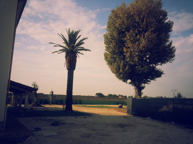 Tutta La Casa Bagnacavallo 60362