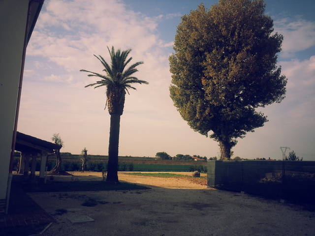 Gehele Woning Bagnacavallo 60362-5