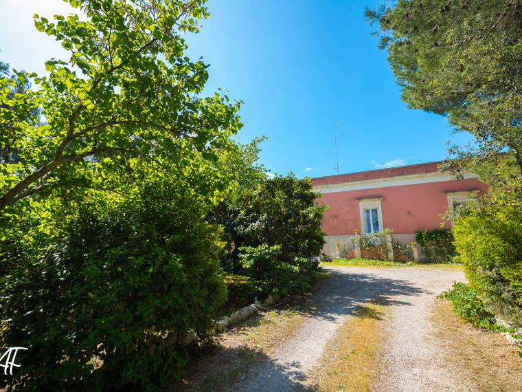 Chambre À Louer Puglia 158460-1