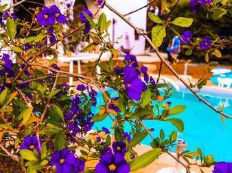 Entire Home Puglia 158460-10