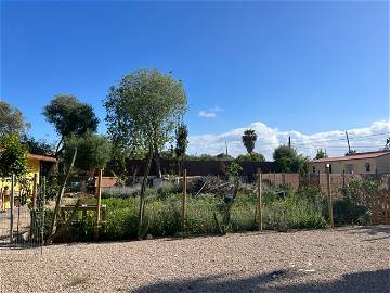 Homestay Son Ferriol 375484-10