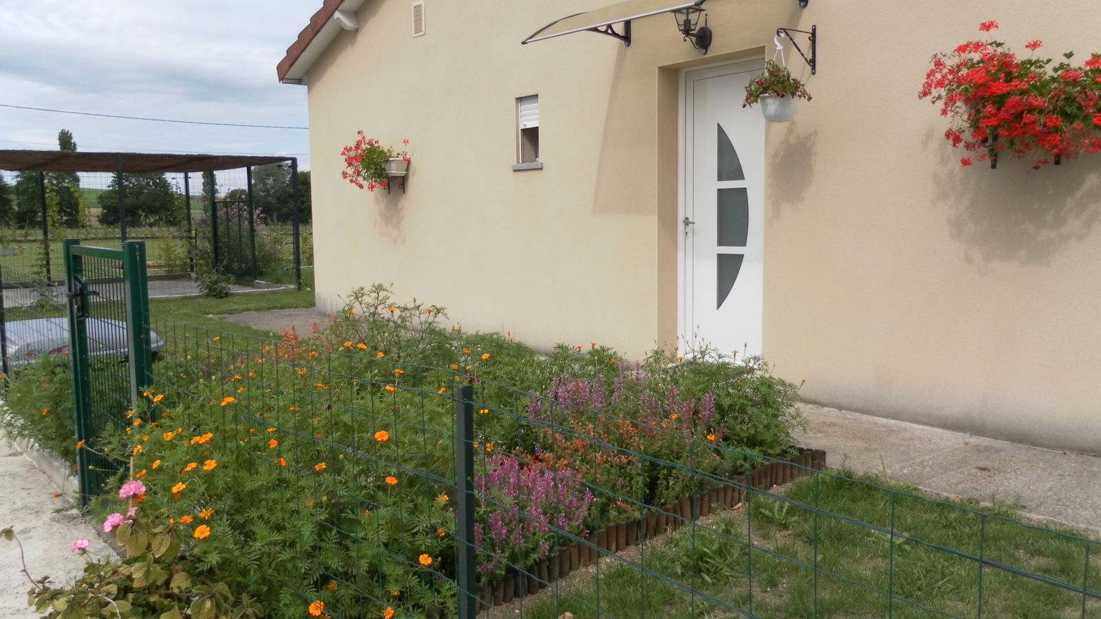 Tutta La Casa Assay 125366