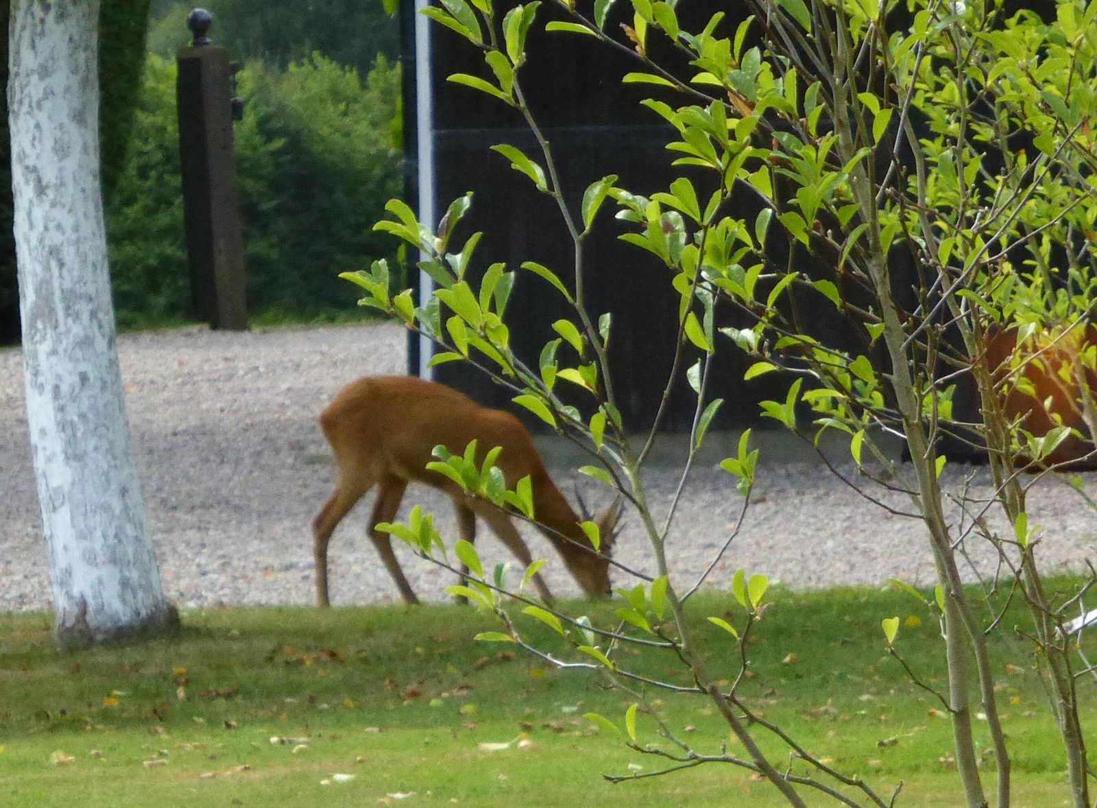 Tutta La Casa Marolles 29236