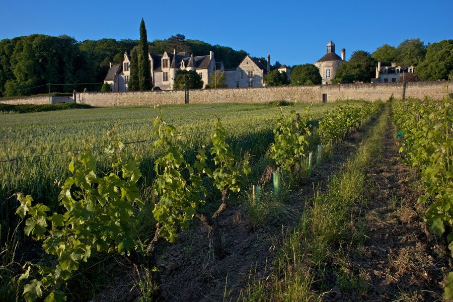 Estudio Independiente Chinon 138272