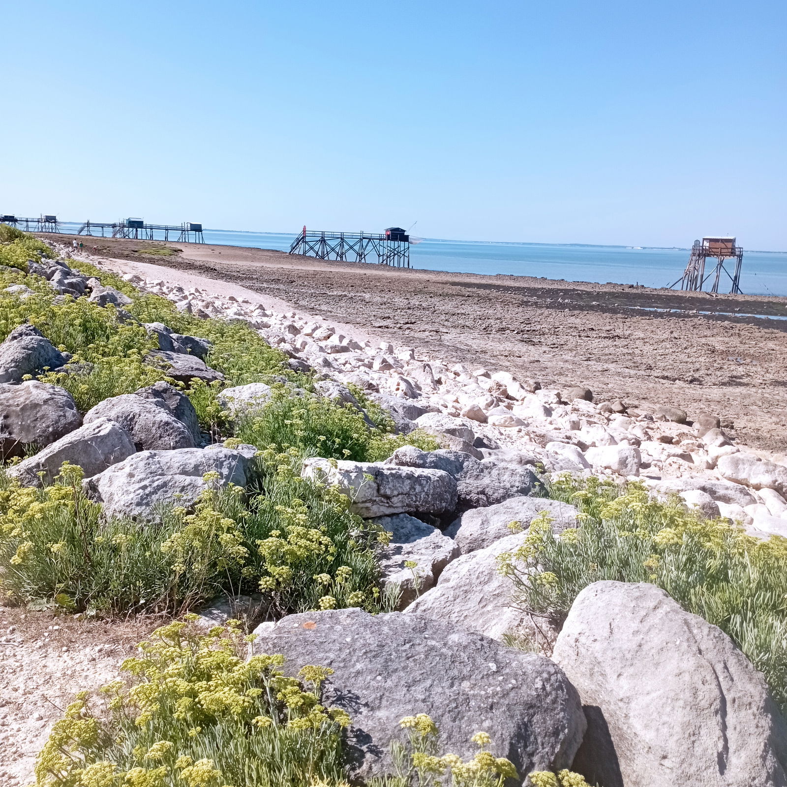 Gästezimmer Port-des-Barques 390492