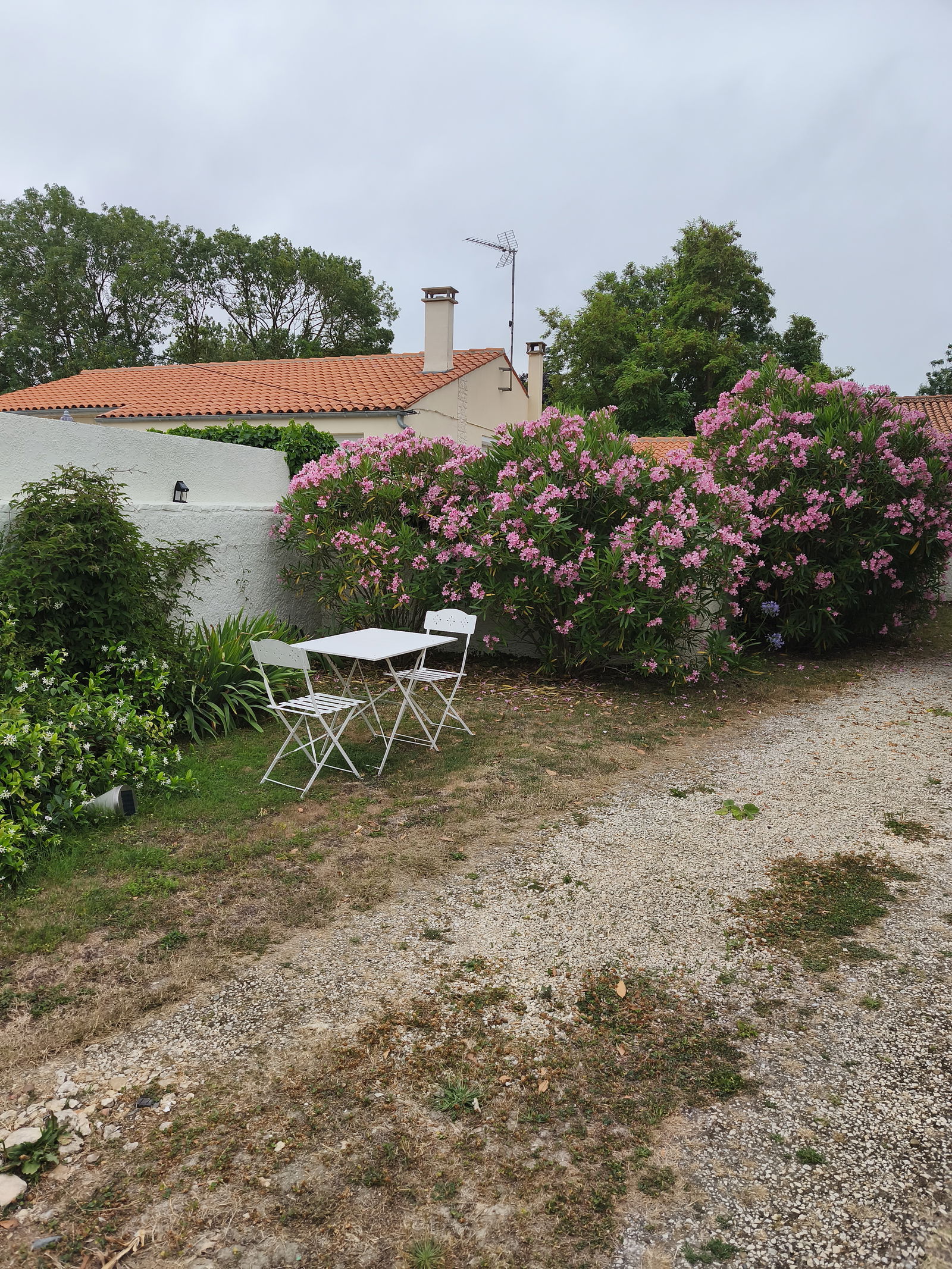 Gästezimmer Port-des-Barques 390492