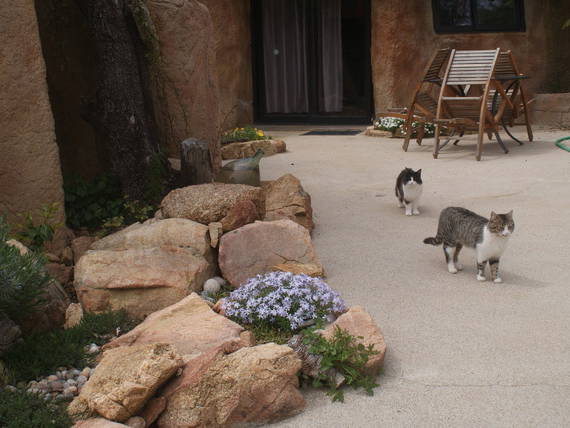 Entire Home Serra-di-Ferro 45909-4