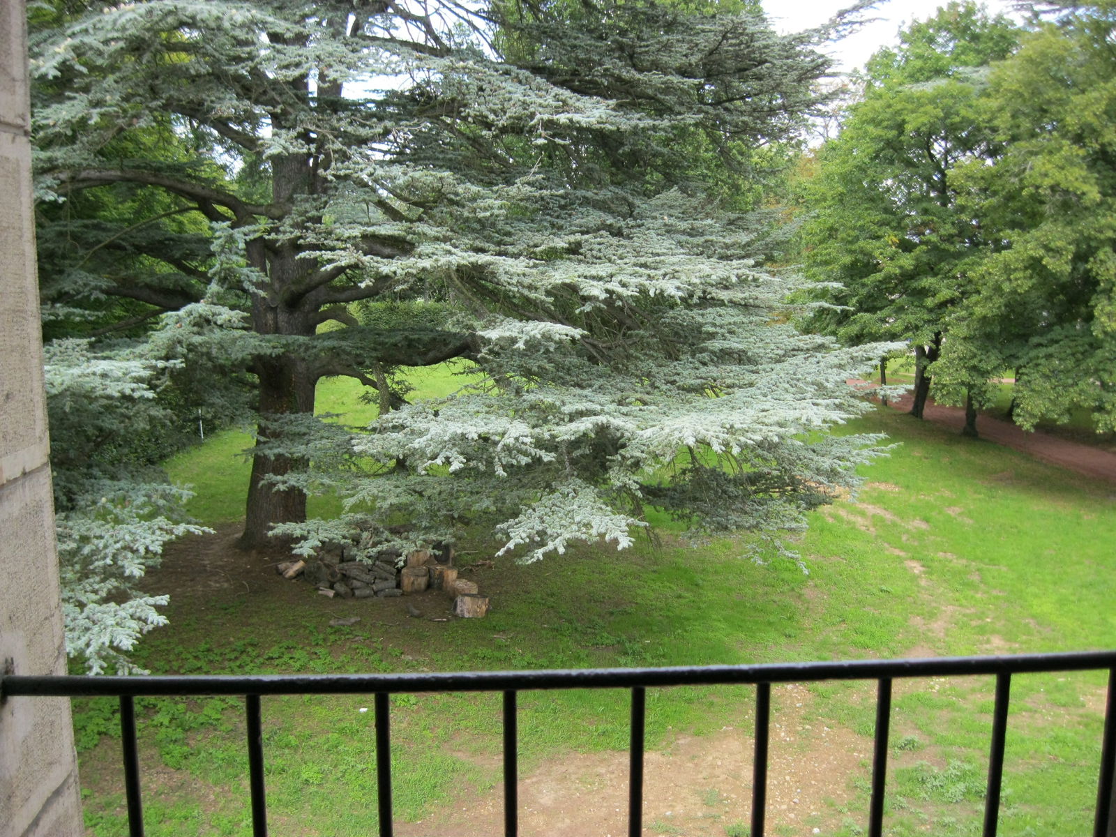 Homestay Écully 118794