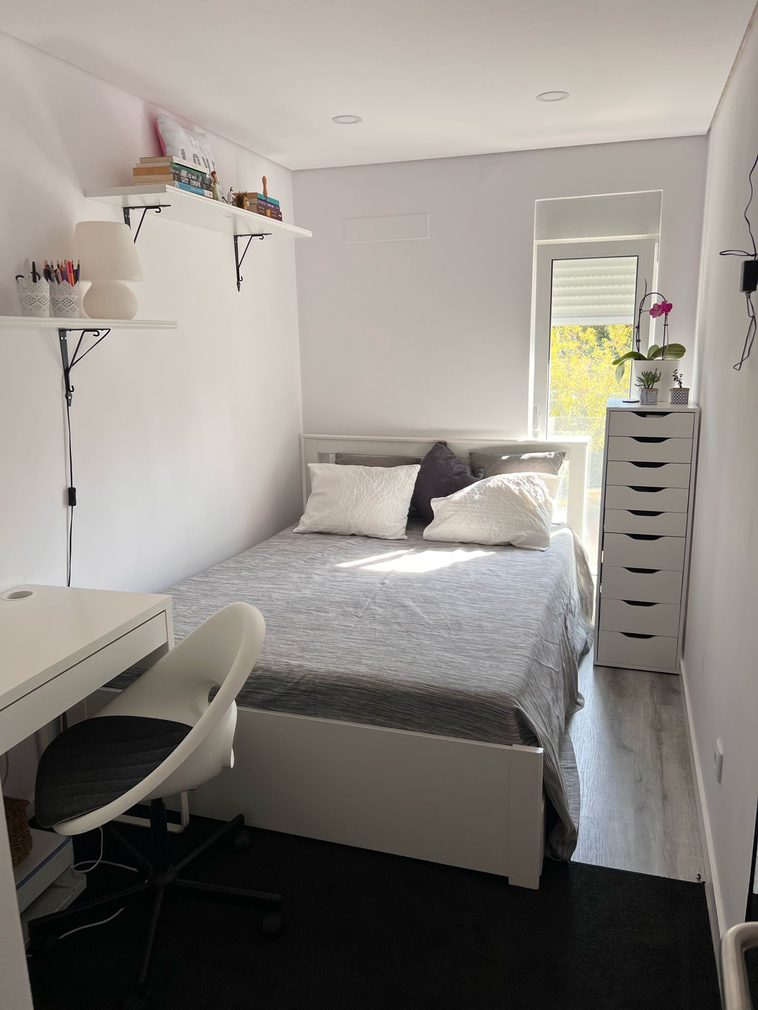 Colocation Lisboa 460738