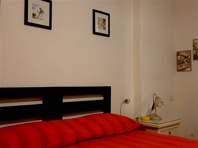 Room In The House Roma 241522-1