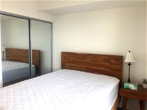 Downtown Toronto Room For Rent