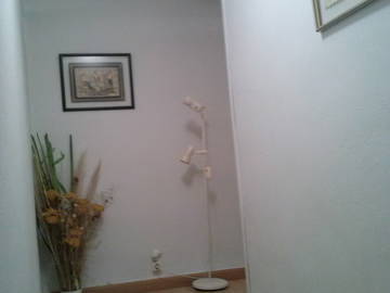 Colocação León 123083-6