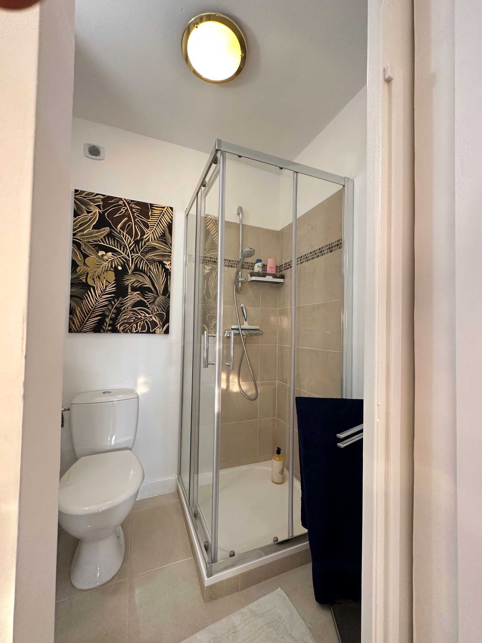 Estudio Independiente Cannes 278500