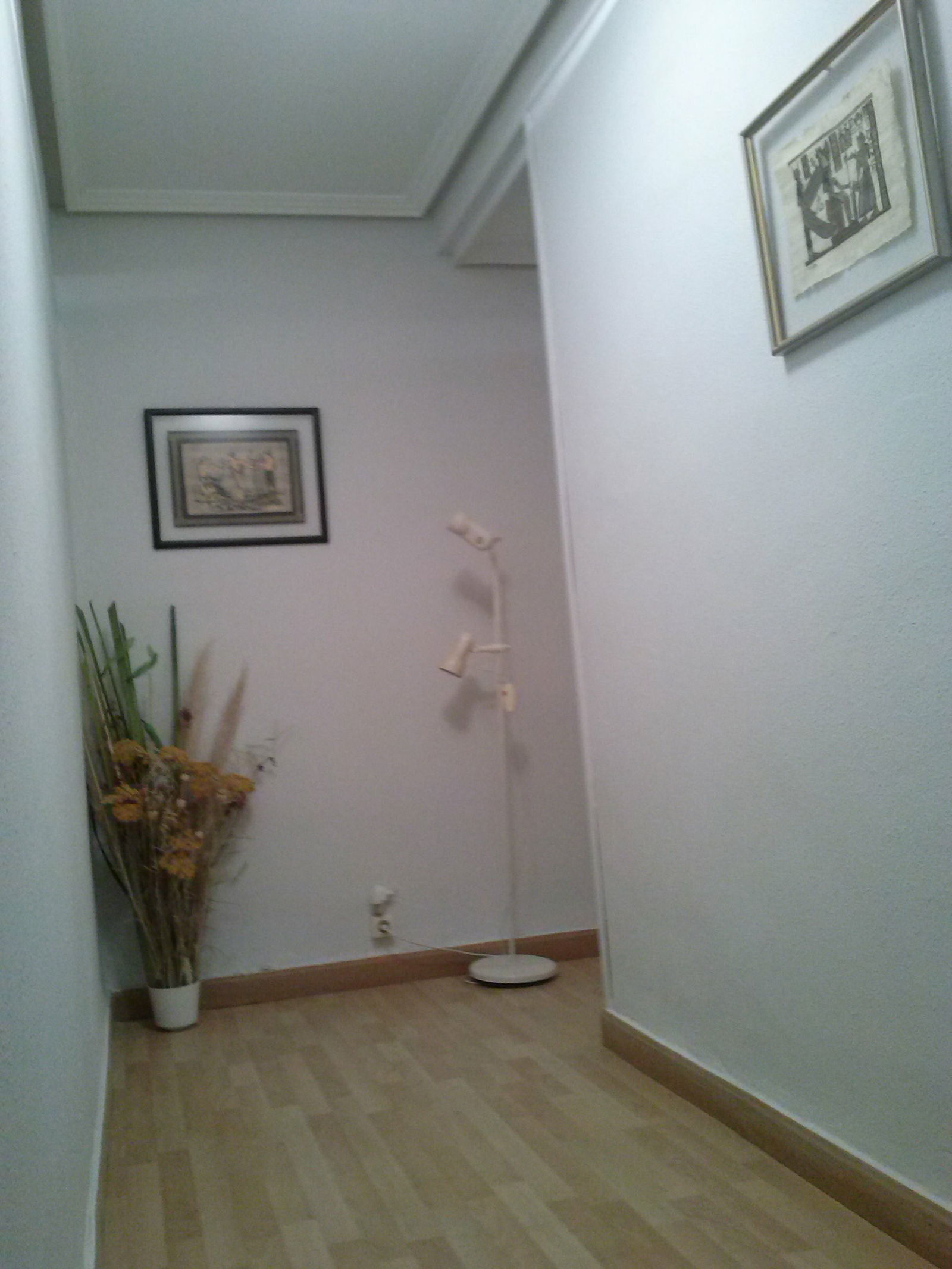 Collocazione León 123083