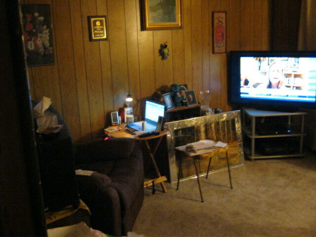 Famiglia Fruitvale 166964