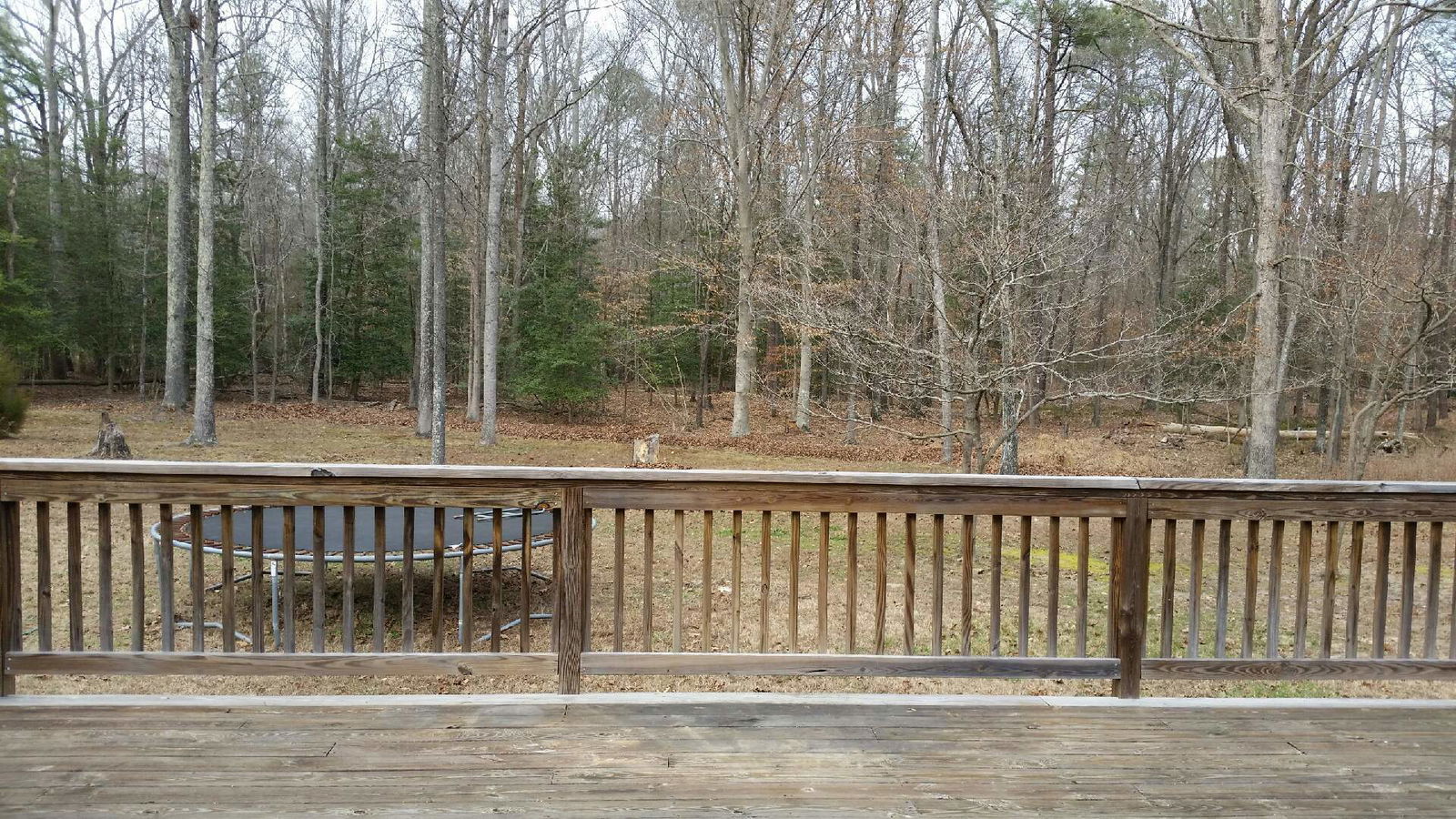 Famiglia Aylett 158850