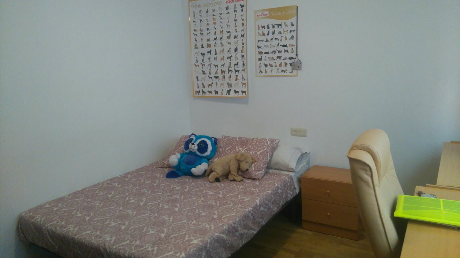 Collocazione León 170435