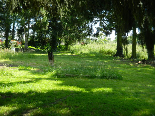 Collocazione Ittre 45965