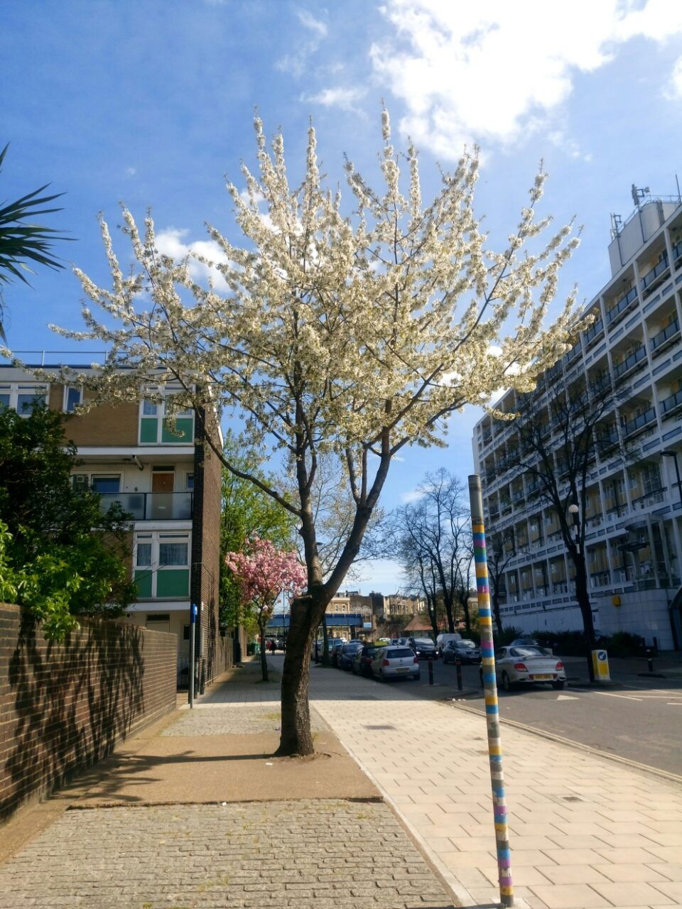 Collocazione London 252787