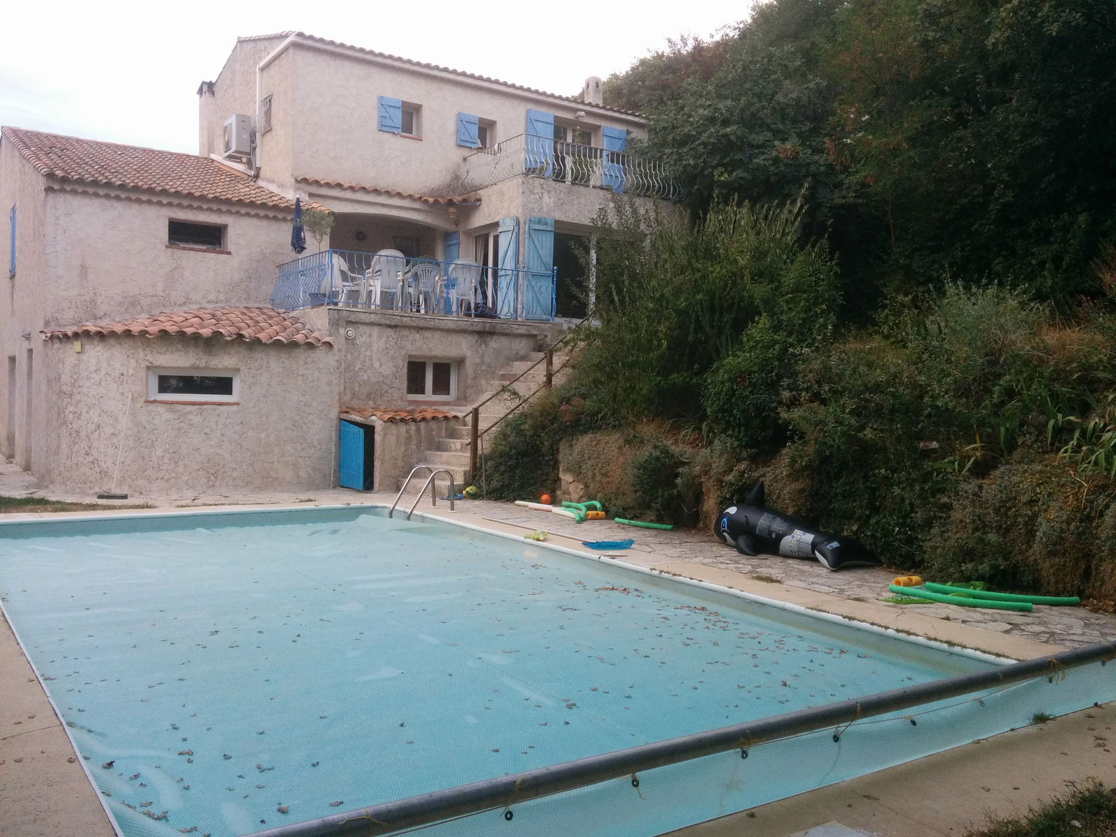 Collocazione Mimet 113149