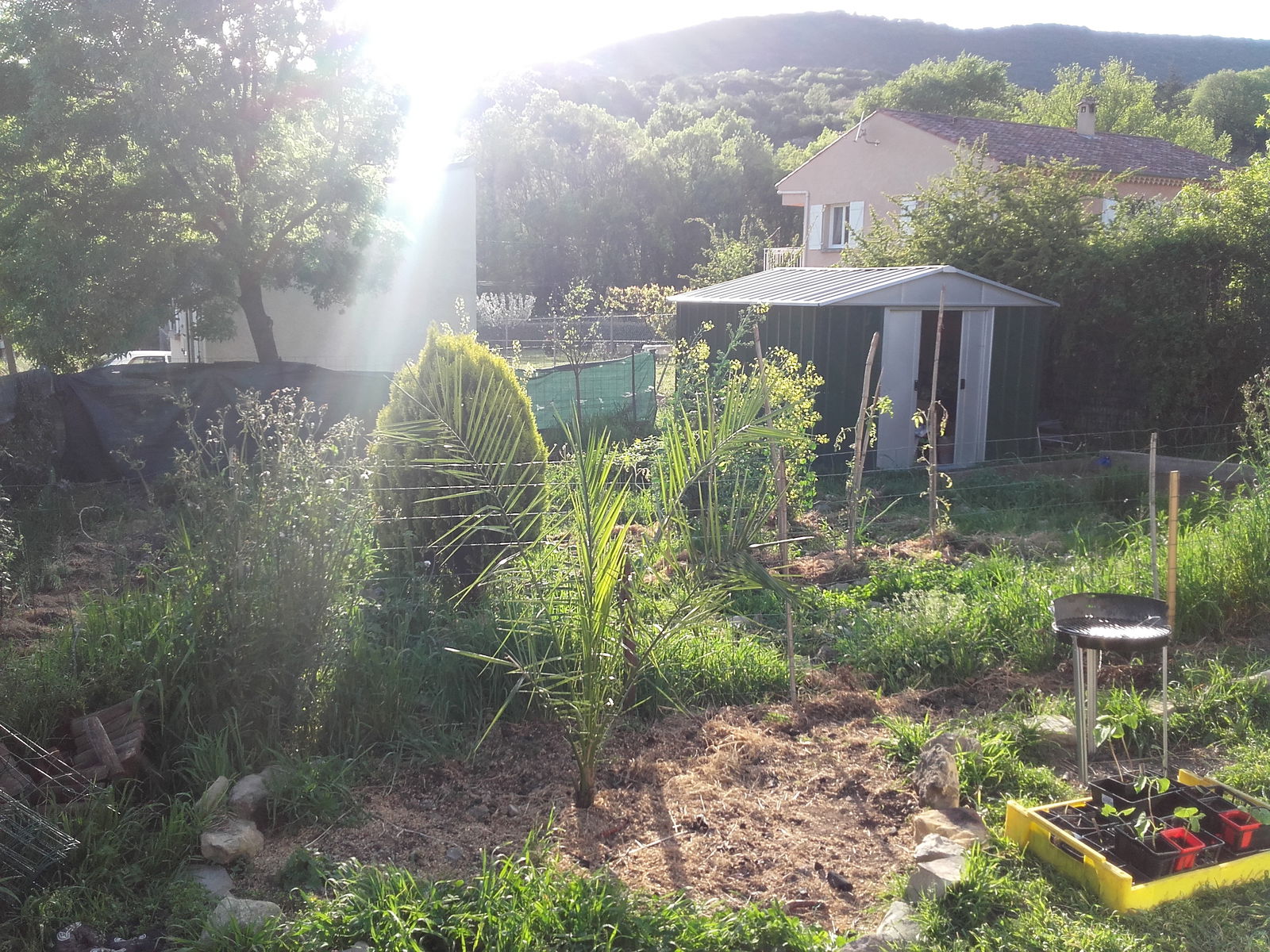 Collocazione Hérépian 131953