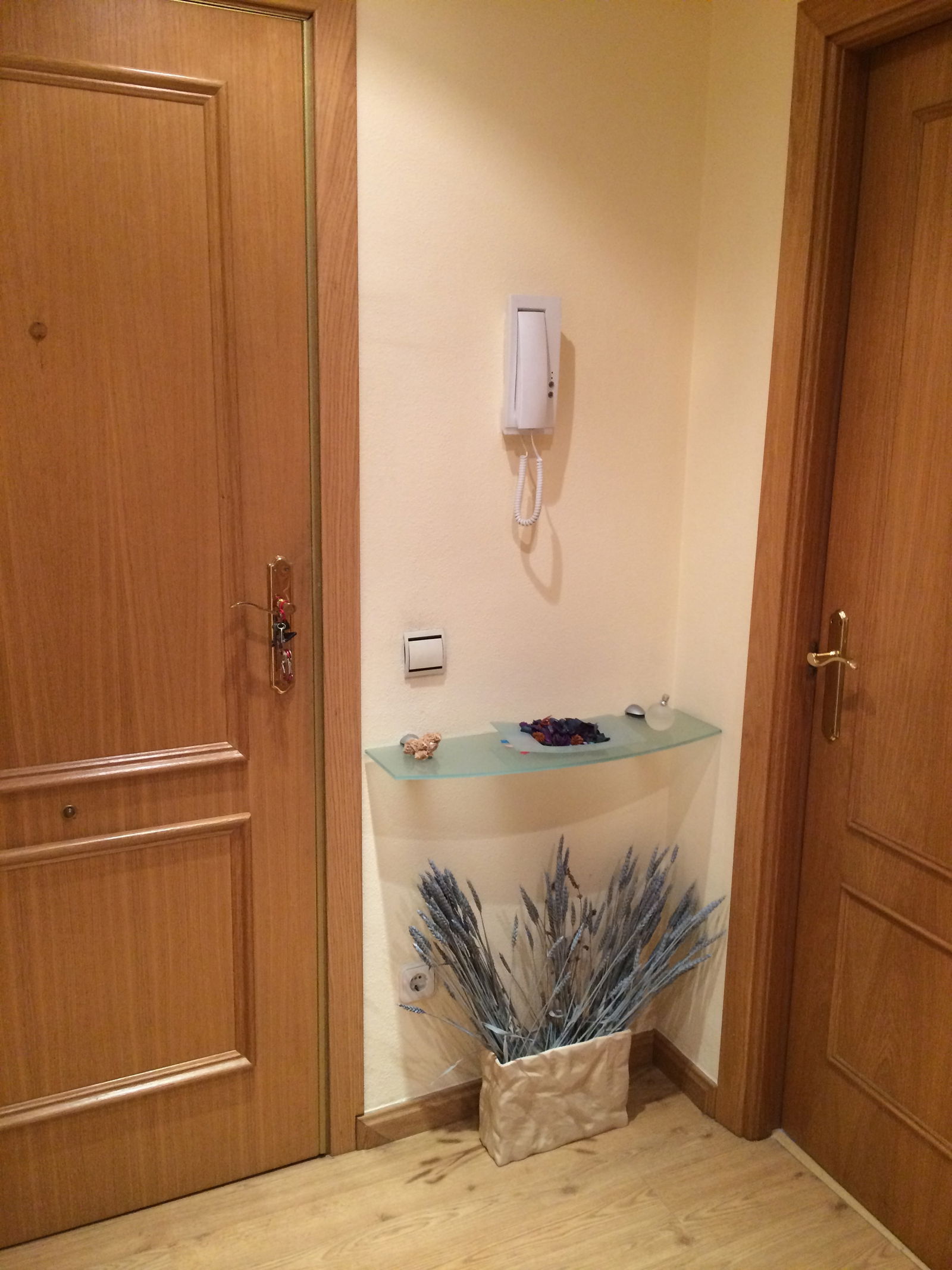 Collocazione Martorell 85105
