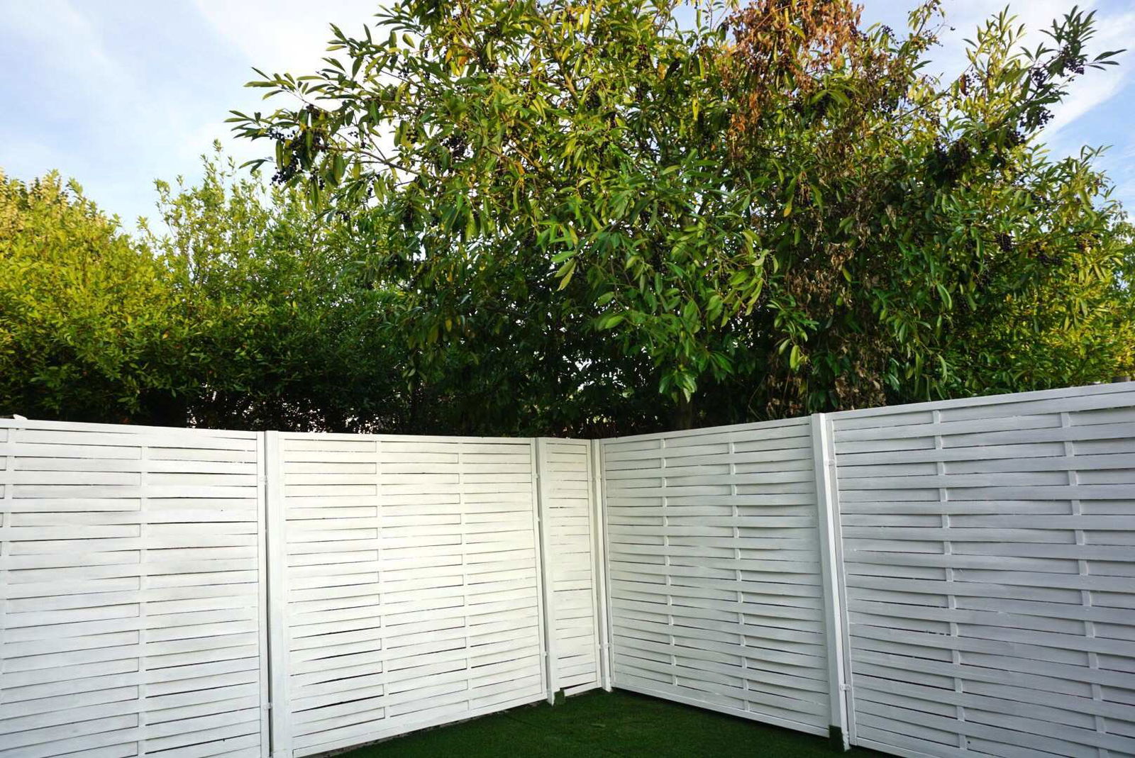 Colocation Cergy 245648
