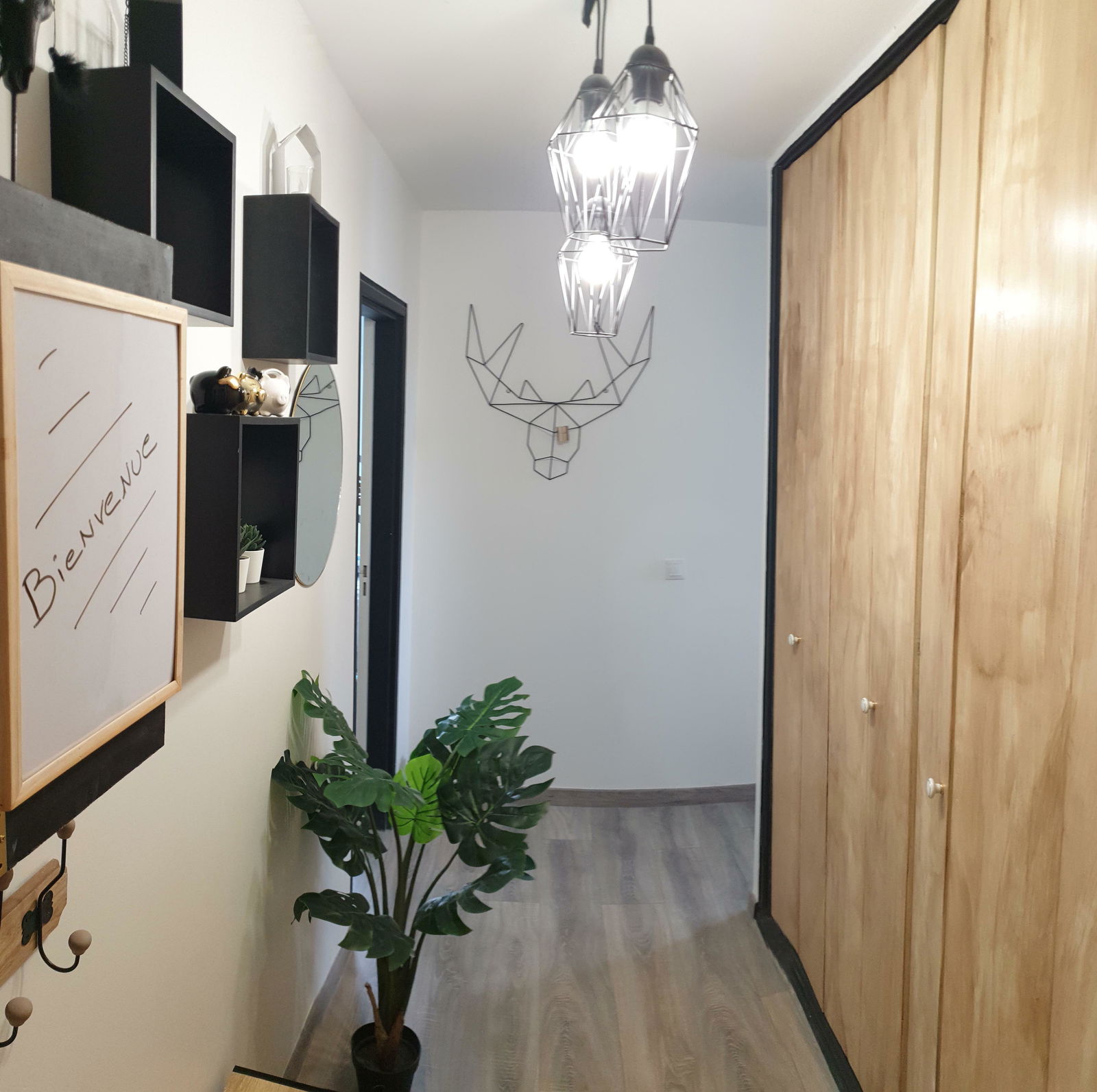 Colocation Cergy 236893