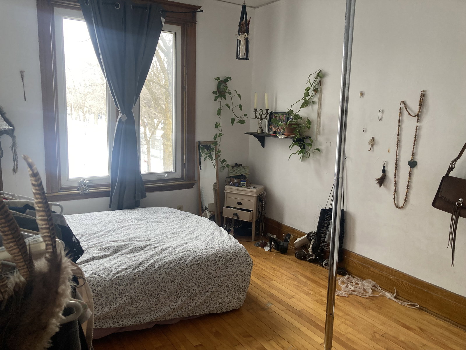 Colocación Montréal 659761