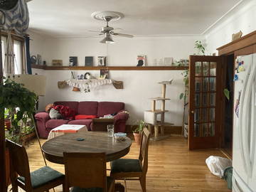 Colocation Montréal 659761-4