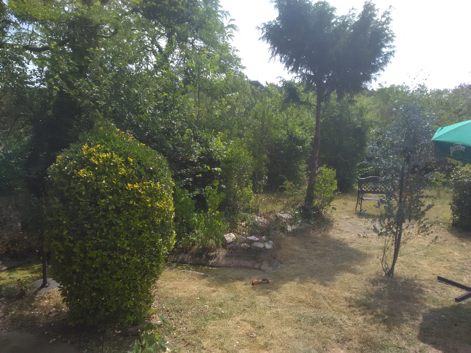 Homestay La Ferté-Alais 134204