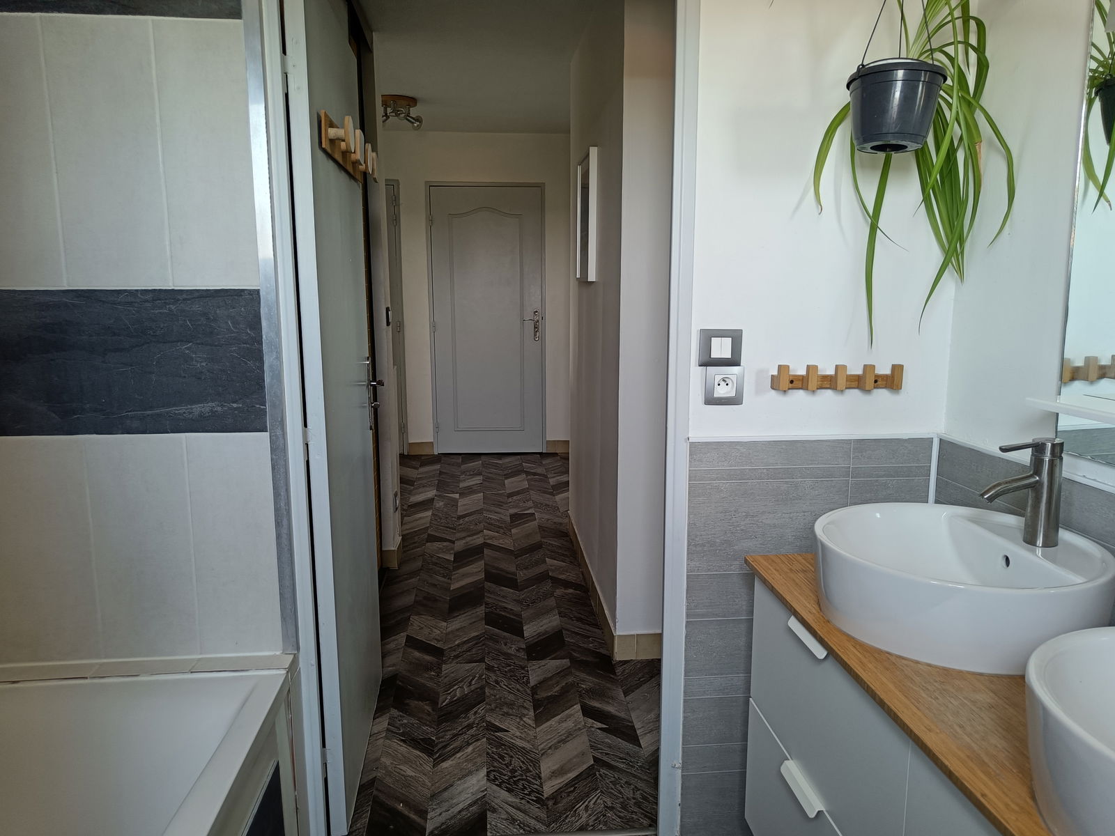 Colocación Montpellier 337585