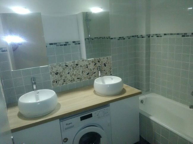 Colocation Strasbourg 246155