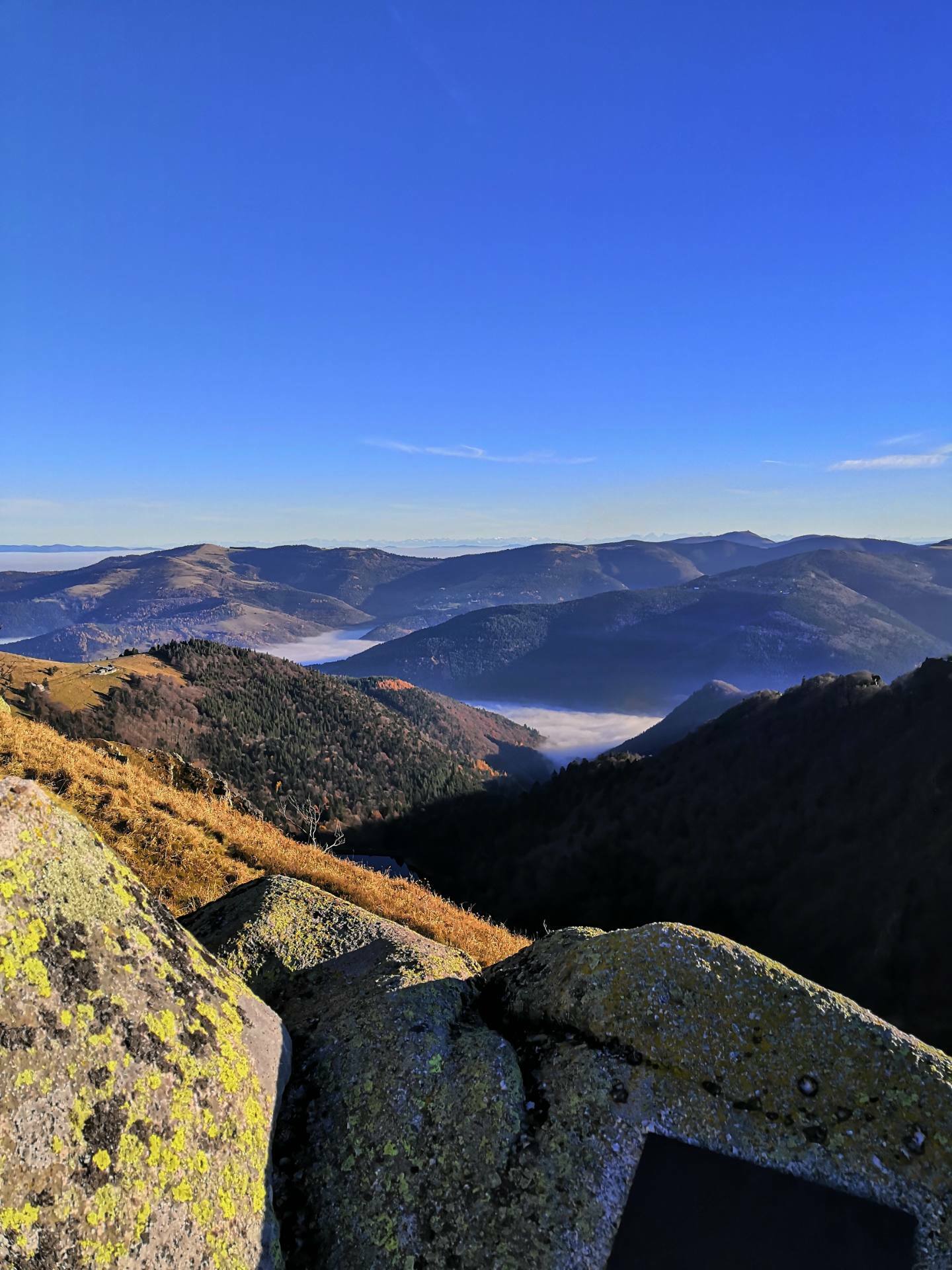 Estudio Independiente Cornimont 194161
