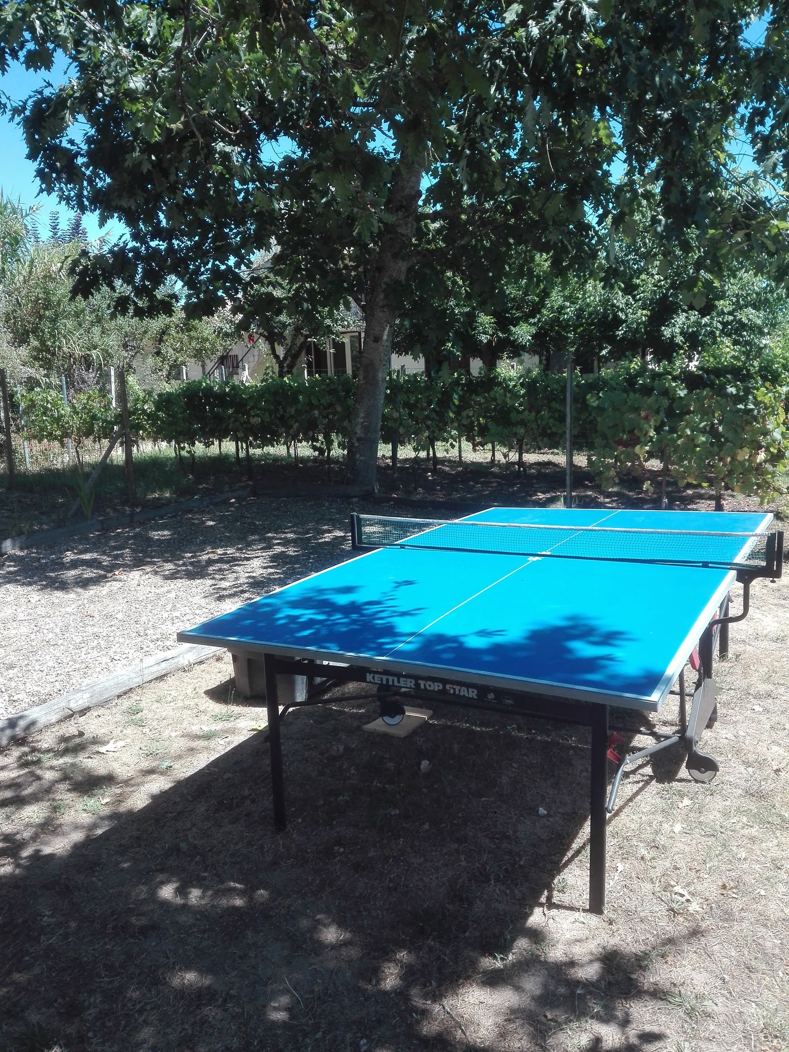 Estudio Independiente Eymet 190232