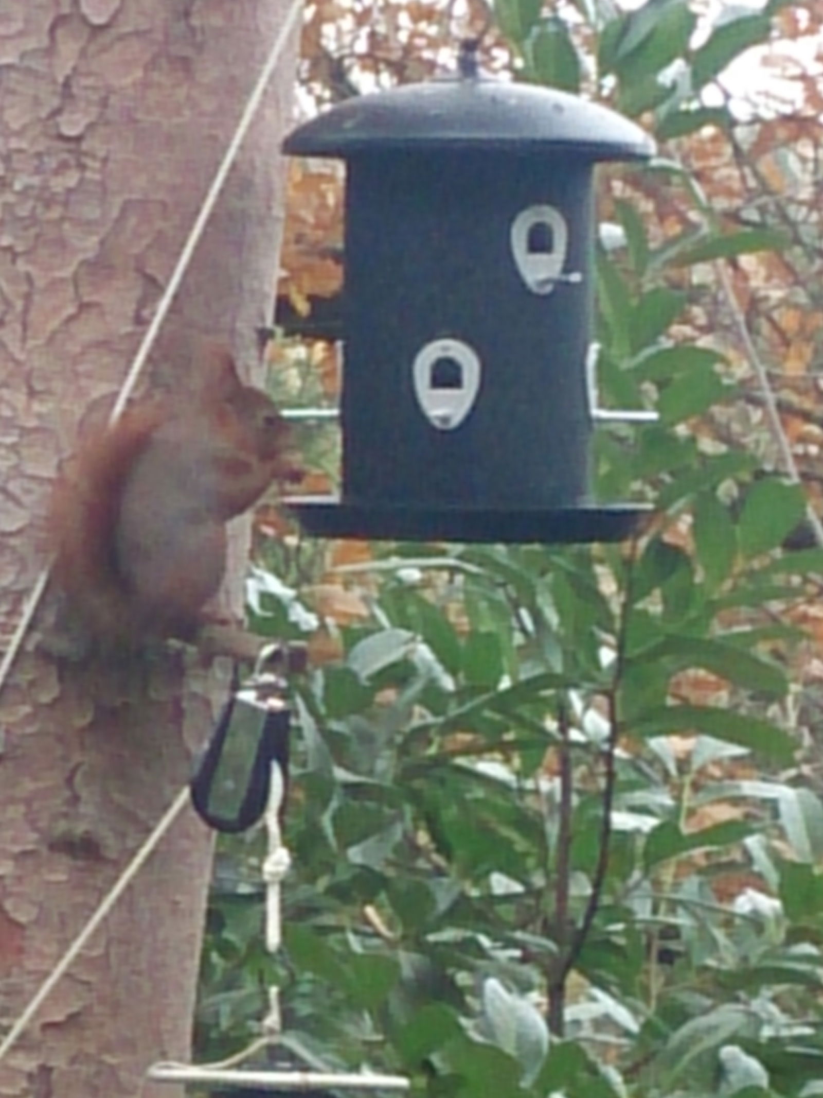 Estúdio Independente Saint-Cyr-la-Rivière 238404