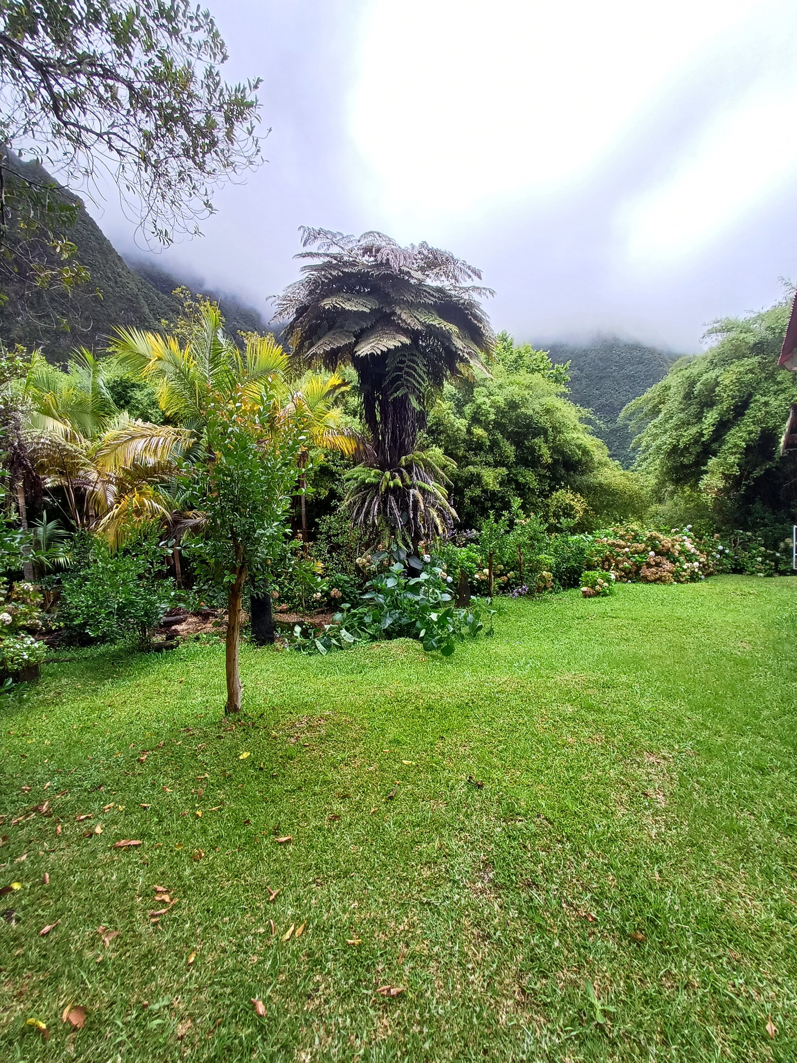 Casa Inteira La Plaine-des-Palmistes 655669