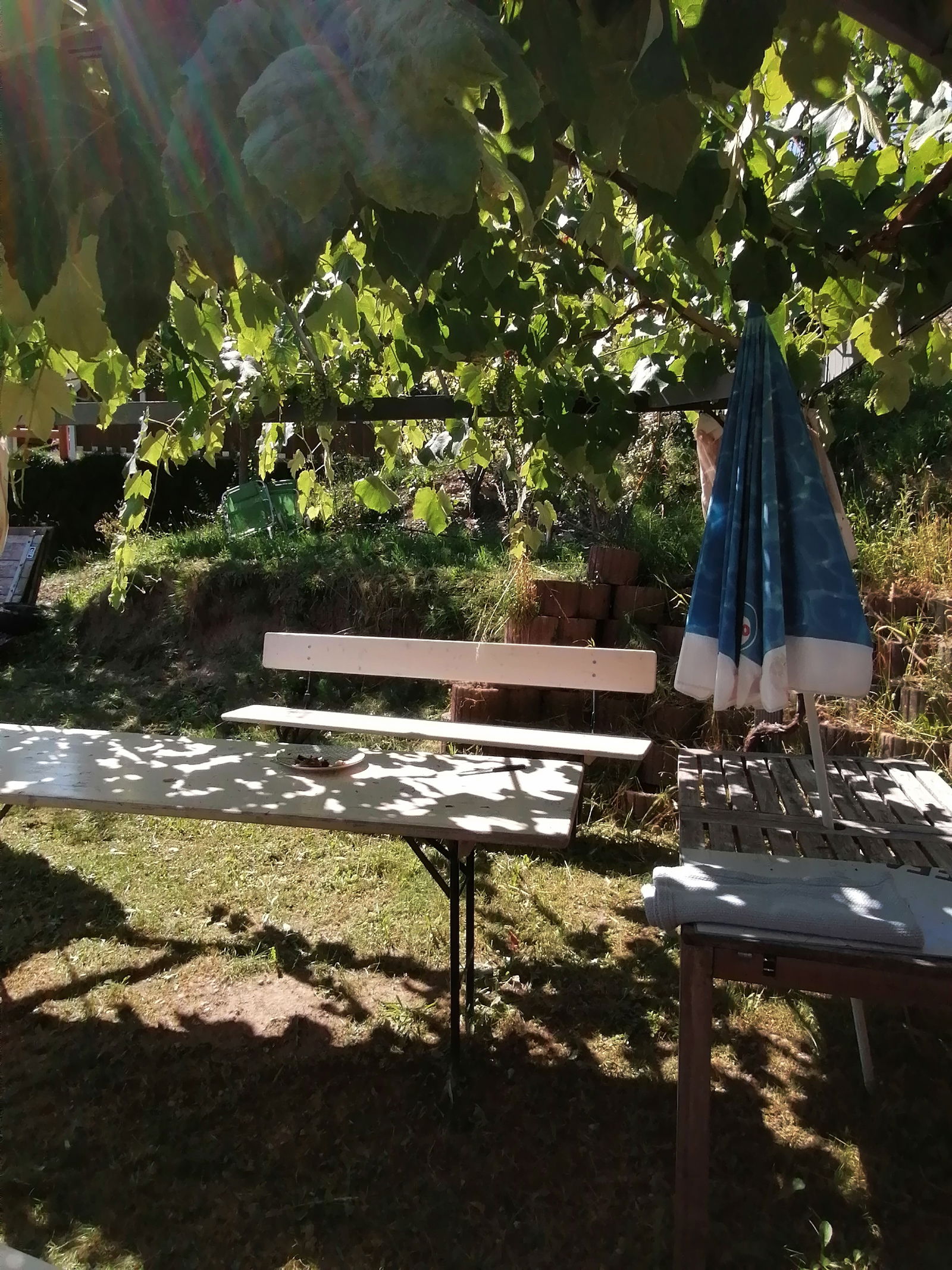 Estúdio Independente Collombey-Muraz 260237