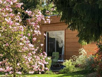 Chambre À Louer Plailly 261575