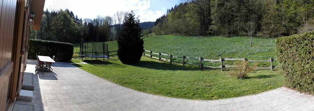 Entire Home Gérardmer 236414