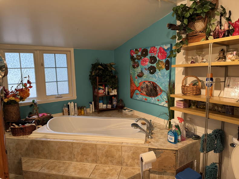 Chambre Chez L'habitant Prévost 465056-3